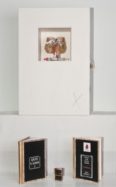 "Suerte perdida"
Zapatitos de papel de esp�rragos,maleta de artesano,jeringuillas,libros cuya portada est� tratada con pigmentos de c�scara de banana.
2013